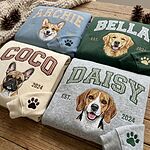 Custom gingham pet portrait embroidered sweatshirts in light blue, forest green, cream, and sport grey