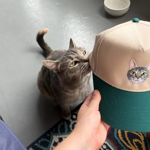 Customer cat beside a cap embroidered with its custom portrait