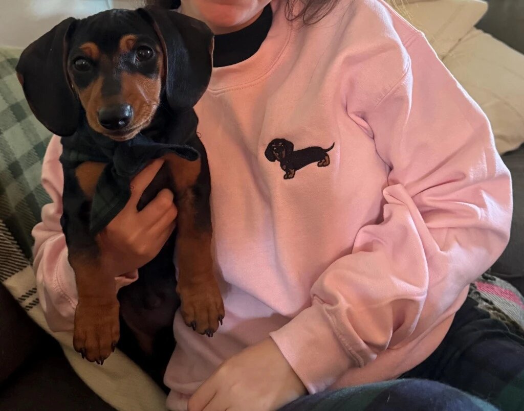 Dachshund Embroidered Crewneck Sweatshirt – Light Pink Puppy Lifestyle Happy pet parent wearing light pink crewneck sweatshirt with matching black and tan dachshund embroidery while cradling a real dachshund puppy