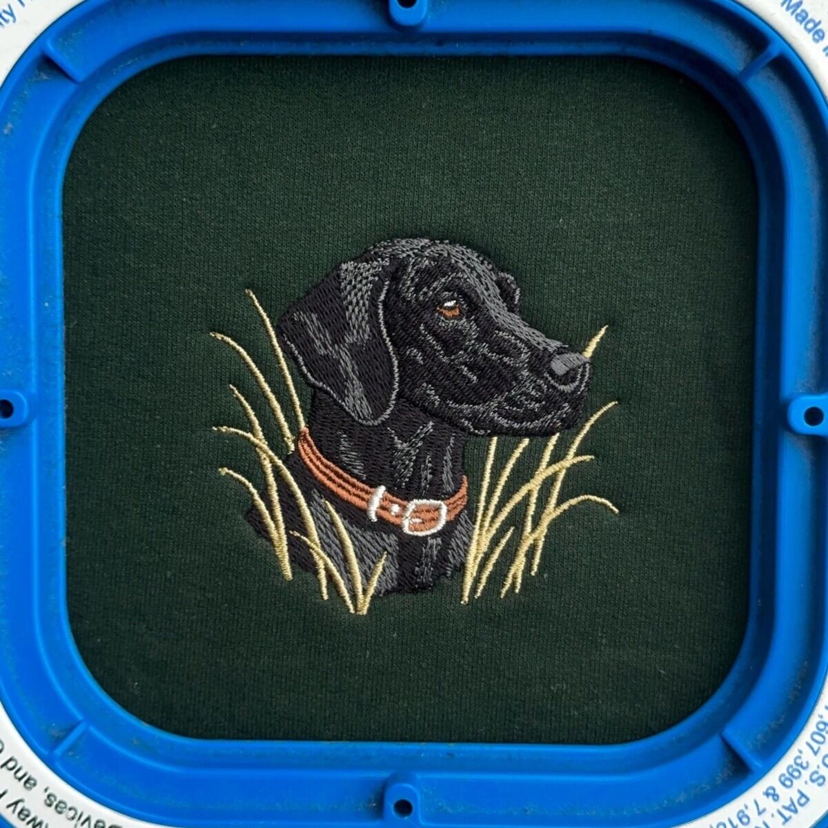 Black Lab Embroidery in the Hoop Forest Green sweatshirt held in a blue magnetic embroidery hoop with a freshly stitched black Labrador head in a rust leather collar among tall pale marsh grass