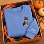 Boston Terrier Halloween sweatshirt folded in a gift box with mini pumpkins