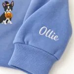 Custom Boston Terrier sweatshirt with the dog name Ollie embroidered on the sleeve