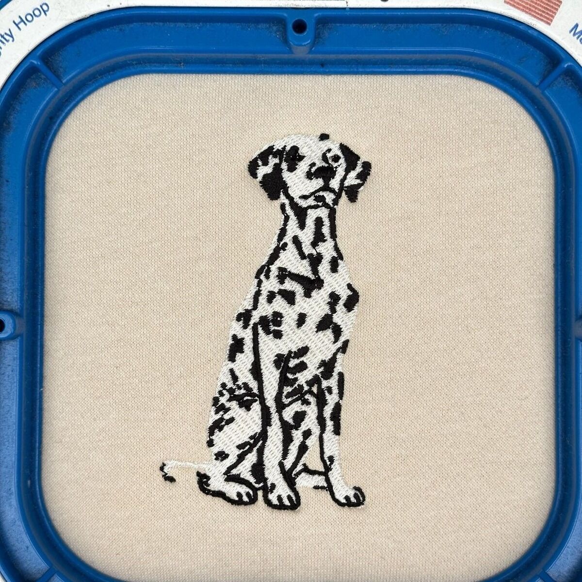 Dalmatian Embroidery in the Hoop Sand sweatshirt held in a blue magnetic embroidery hoop with a freshly stitched sitting Dalmatian in white with black spots and a black outline