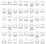 Dog ear chart part 2: ear styles #41 Dachshund to #88 Poodle