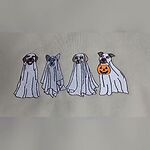 Video still of four dogs in white ghost sheets embroidered across the chest of a Sand sweatshirt
