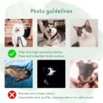 Photo guidelines for a custom pet portrait: clear, high-resolution photos with the full face visible; avoid blurry, dark or partial photos